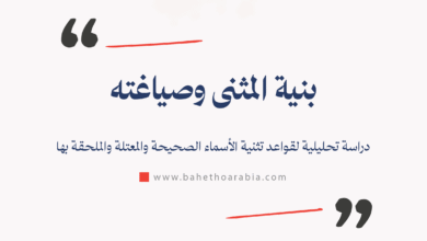 المثنى والتثنية