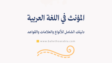 المؤنث في اللغة العربية