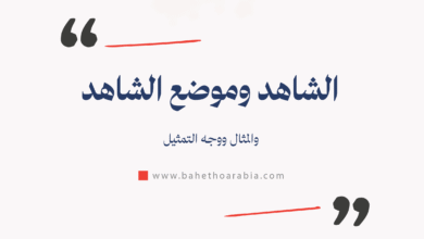 الشاهد والمثال