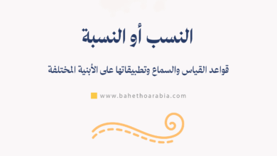 النسب أو النسبة