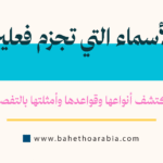 الأسماء التي تجزم فعلين