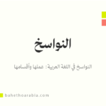 النواسخ في اللغة العربية