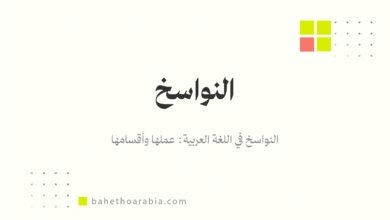 النواسخ في اللغة العربية