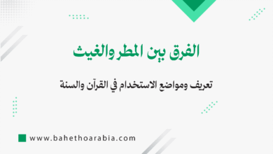 الفرق بين المطر والغيث