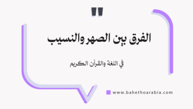 الفرق بين الصهر والنسيب