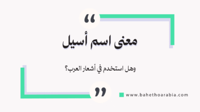 معنى اسم أسيل