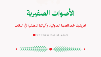 الأصوات الصفيرية - Sibilant Sounds