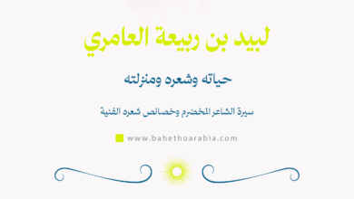 لبيد بن ربيعة