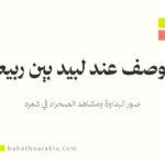 الوصف عند لبيد بن ربيعة