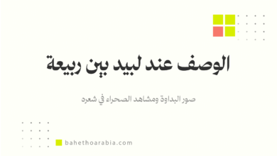 الوصف عند لبيد بن ربيعة