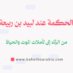 الحكمة عند لبيد بن ربيعة