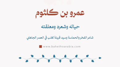 عمرو بن كلثوم