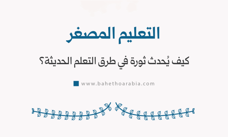 التعليم المصغر