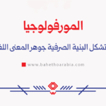 المورفولوجيا