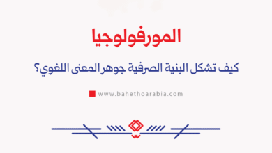 المورفولوجيا