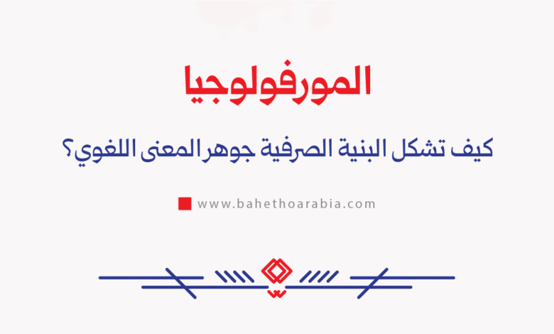 المورفولوجيا