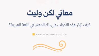 معاني لكن وليت