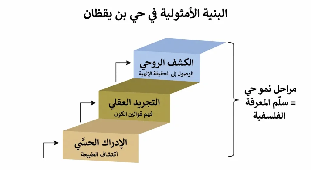 مخطط تصاعدي يوضح البنية الأمثولية في رواية حي بن يقظان عبر ثلاث مراحل: الإدراك الحسي ثم التجريد العقلي ثم الكشف الروحي